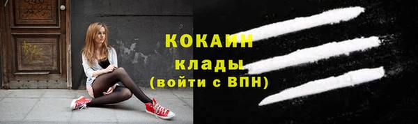 соль ск Алексеевка