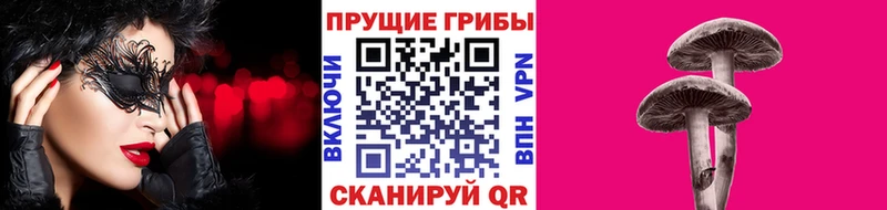 Галлюциногенные грибы прущие грибы  Пролетарск 