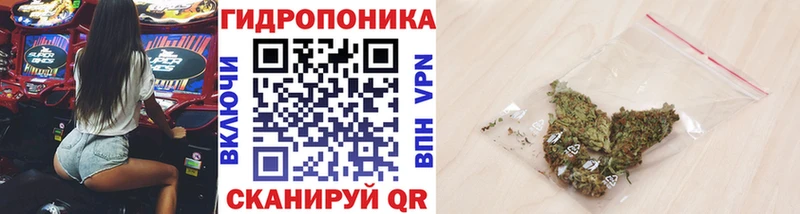 Конопля MAZAR Пролетарск